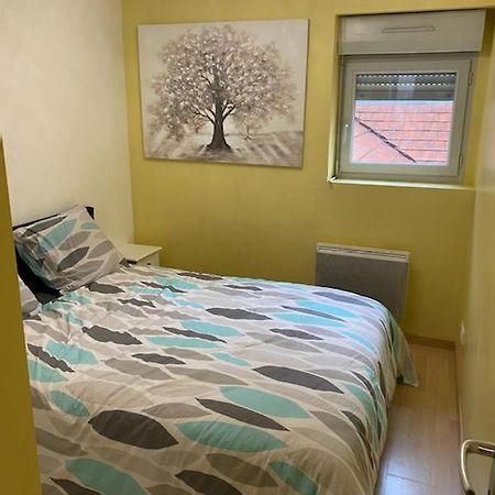 Bel Appartement Coeur De Ville Chalon-sur-Saône Zewnętrze zdjęcie